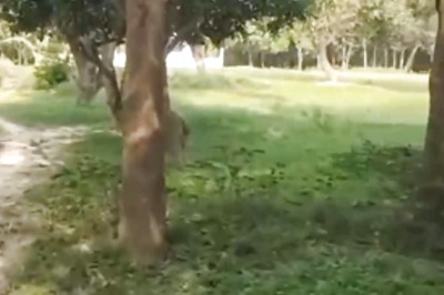 In Bihar’s Madhubani, Primary Language Of This Village Locals Is Sanskrit