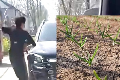 Chinese Woman Throws Brick At Man’s Luxury Car For Crushing Her Garlic Seedlings