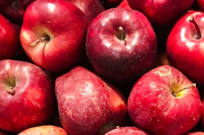 5 Amazing Benefits of Eating Apples during Winters