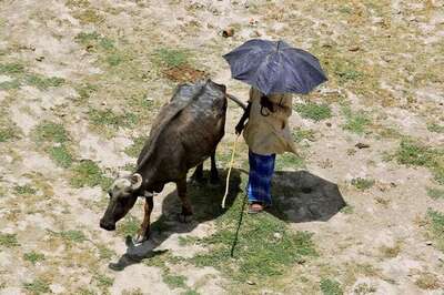 Make Funds Available to Farmers Through Co-Ops: FM to Banks