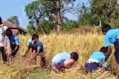 Students Grow and Harvest Paddy as Part of Curriculum in This Karnataka Village School