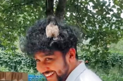 Watch: Bird Rests On Man’s Curly Hair Mistaking It For Nest