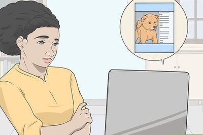 How to Advertise Dog Walking