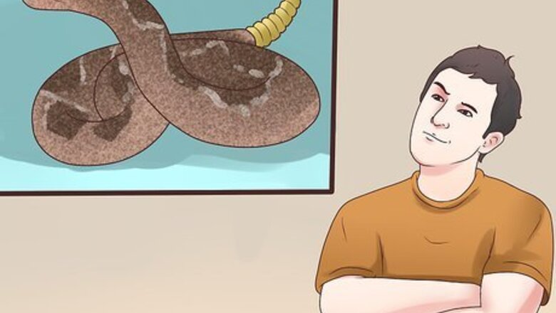 How to Avoid a Rattlesnake Attack