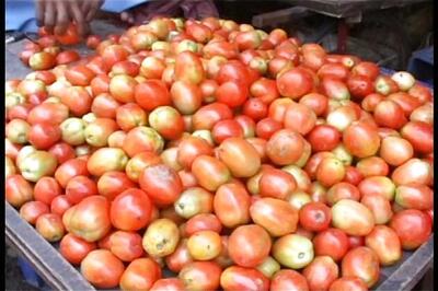 Thieves steal 75 kg tomatoes from a vegetable market in Dausa