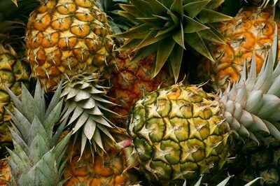 Perks Of Pineapples: Abundant Vitamin C And More From This Tropical Treat