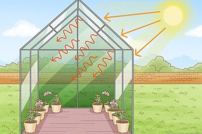 Understanding How a Greenhouse Works and What It Does