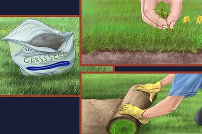 How to Make Money by Mowing Lawns
