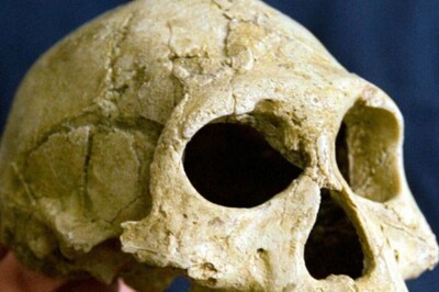 Skeletal Remains of Five Members of Family Recovered from House in Karnataka