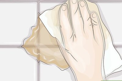 How to Clean Up Puppy Accidents