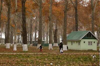 Kashmir University Recruitment 2018: 23 Posts, Apply before 18th June 2018