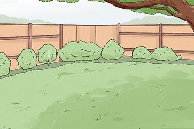 How to Dry Maple Wood