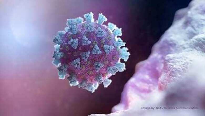 WHO says China team interviewed Wuhan scientists over virus origins