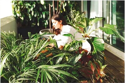 Jungle-Theme Décor: Hanging Indoor Plants Best for Creating Wilderness