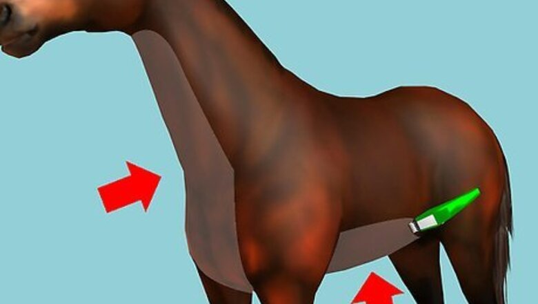 How to Clip Your Horse