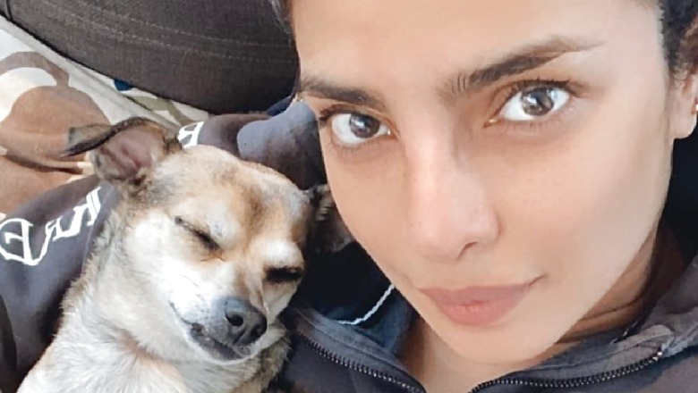 Priyanka Chopra's Pup Diana Helps Her Get Ready for BAFTAs