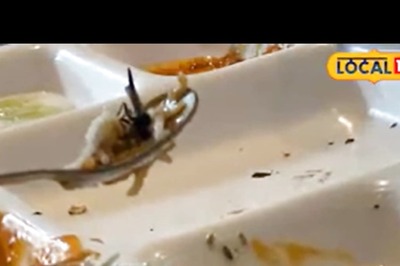 Worm Found in Pulao at Popular Restaurant in Greater Noida, Staff Says 'Must Have Fallen From...'