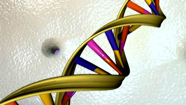 DNA Advances Identify 26-Year-Old Man Killed on 9/11