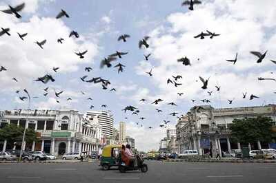 Delhi sees nearly 14% rise in per capita income