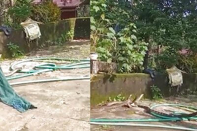 Residents Of Panjikal Village In Karnataka Capture 12-feet Long Rattlesnake