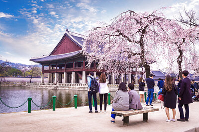 China Permits Limited Tours to South Korea as Relations Warm