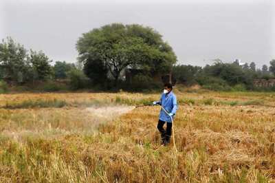 Air Pollution and Hypertension Among Top 5 Risk Factors for Death in India in 2019, Says Study