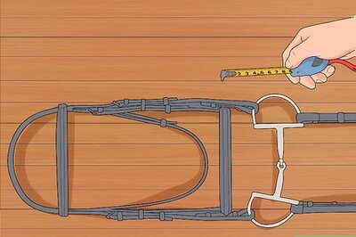 How to Bridle a Horse