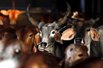 Police Arrest Five in Maharashtra Over Alleged Possession of Beef