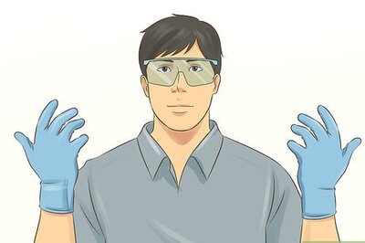 How to Collect Porcupine Quills