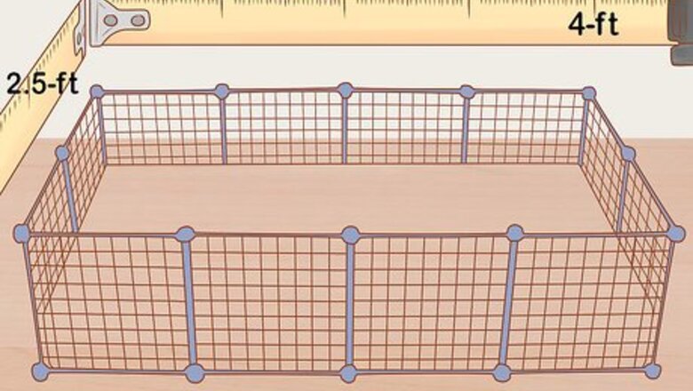 How to Care for a Crested Guinea Pig