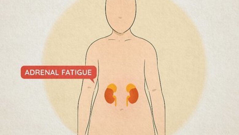 Treating Adrenal Fatigue: Your Most Important Questions Answered