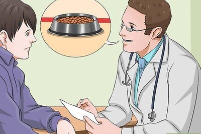 How to Prepare a Healthy Meal for Your Pet Dog