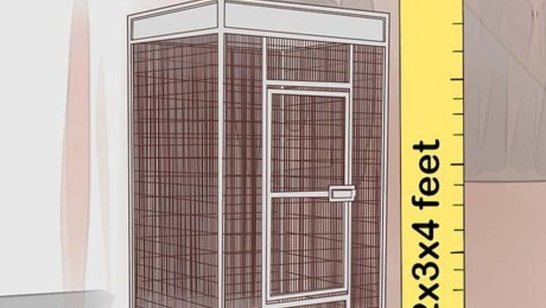 How to Raise an African Grey Parrot