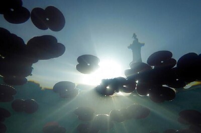 NASA to Explore Marine Environment Using Intelligent Underwater Drones