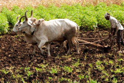 PM Kisan eKYC Deadline Extended: Want Rs 6000 in a Year? How to Do eKYC Online, Offline