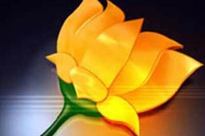 Plea to scrap BJP poll symbol dismissed