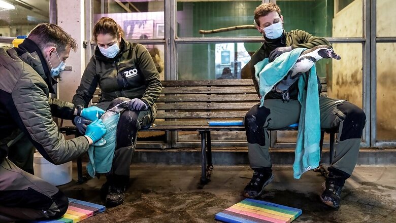 Bird Flu Outbreak: India Steps up Vigil to Curb Spread as 10 European Nations Also Hit