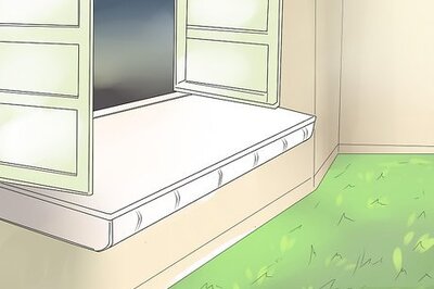 How to Care for a Hoya Plant