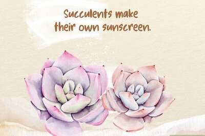 130 Interesting Facts About the Desert You Probably Didn’t Know