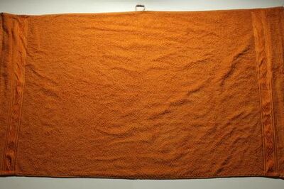 How to Fold a Towel Monkey