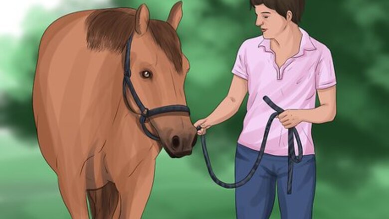 How to Care for Your Horse After Riding