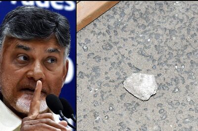 Chandrababu Claims Stones Hurled At Him During Andhra Poll Rally, Asks Jagan Reddy To Control 'J-gang'