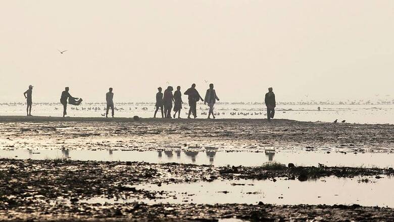 NGT Raps Ganga Mission for Failure to File Compliance Report