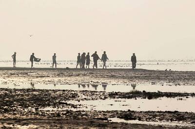 NGT Raps Ganga Mission for Failure to File Compliance Report