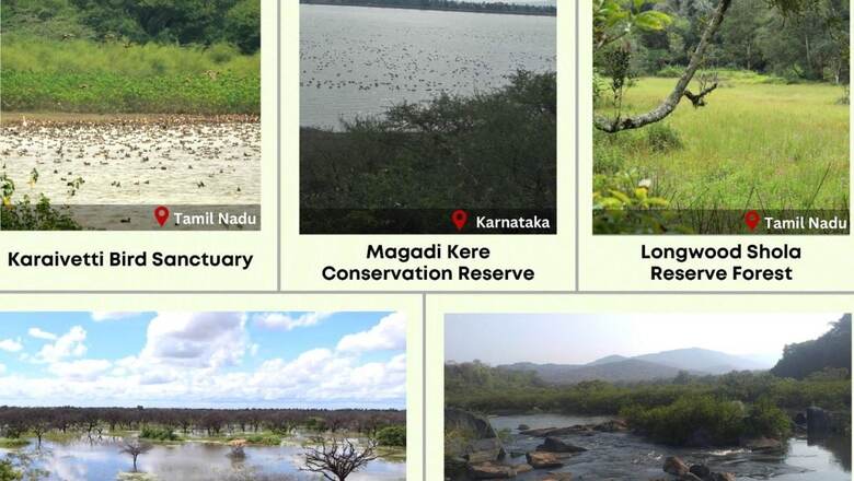 World Wetlands Day 2024: History, Significance, and 5 New Ramsar Sites in India