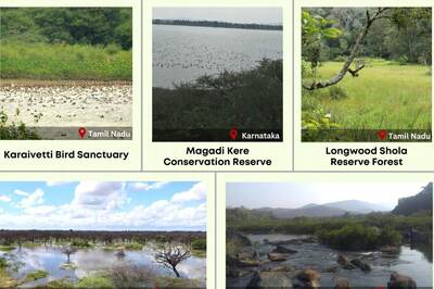 World Wetlands Day 2024: History, Significance, and 5 New Ramsar Sites in India