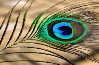 Astrologer Suggests 3 Special Offerings For Janmashtami To Get Lord Krishna’s Blessings