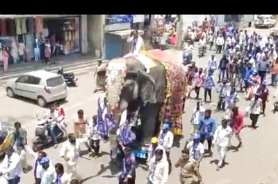 Karnataka Election Candidates Arrive On Elephant, Bullock Cart To File Nominations