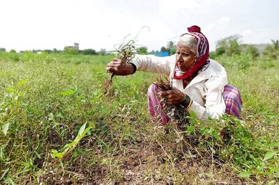 UP Farmers to Get Money in Exchange of Stubble Residues after 1st Agri Residue Plant for Bio-coal Production Begins
