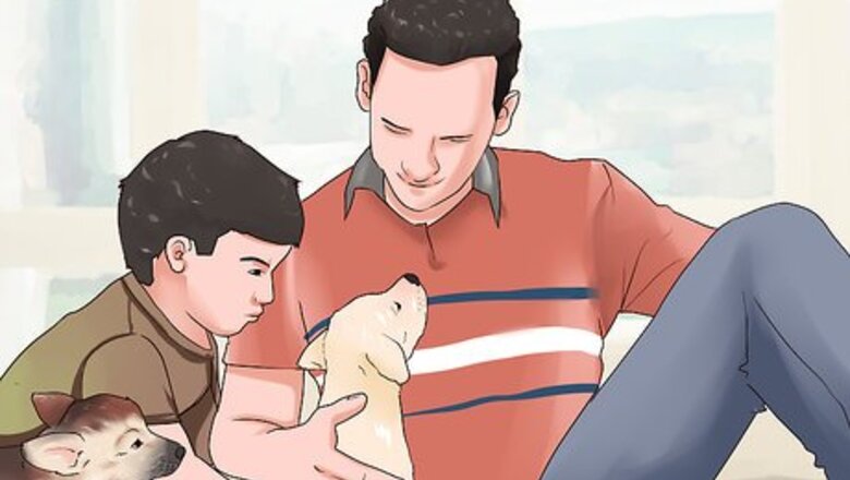 How to Socialize a New Dog with Your Family